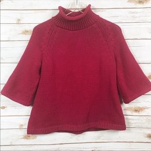 Ann Taylor Loft Chunky Turtleneck Sweater